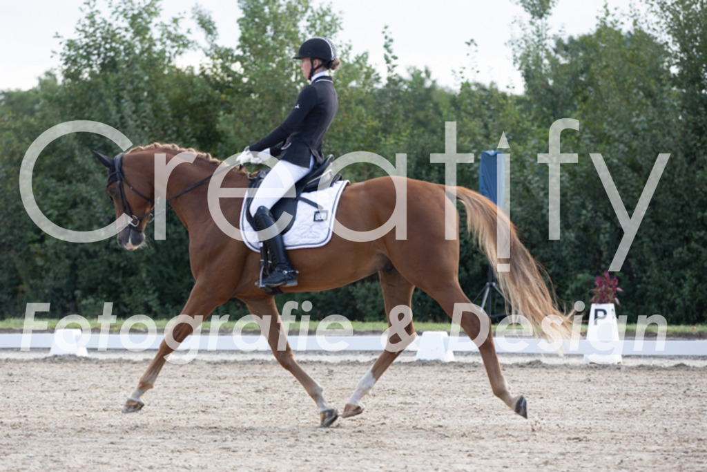 IMG_9838 | Creatify Fotografie