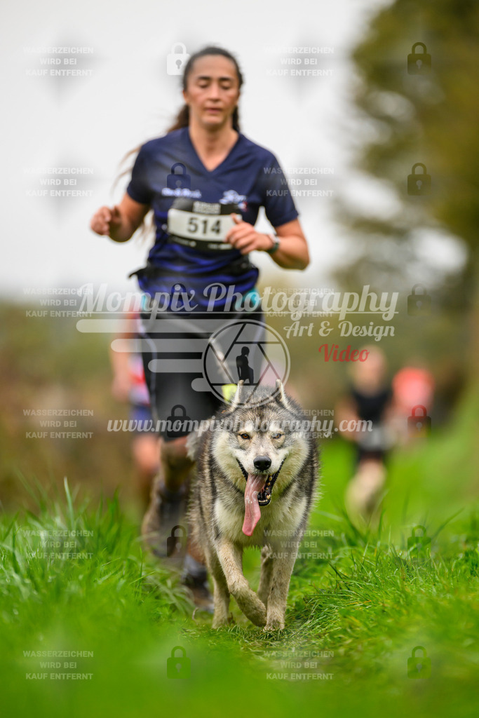 MompixPhotography_20TSB_E8_Run-44 | PayLife