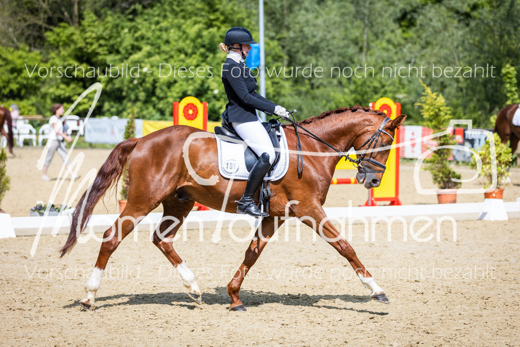 Donop24-L-Dre-048 | MomenTaufnahmen Pferdesportfotos