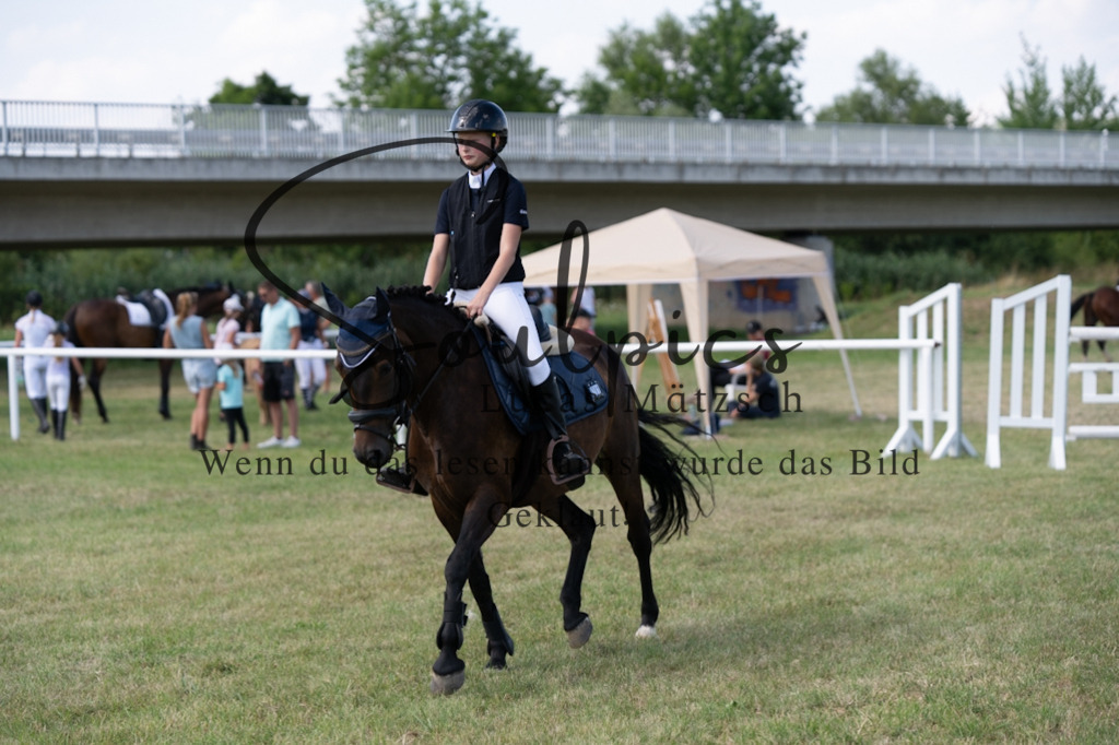 A7V00541 | Turnier/Reitfotograf