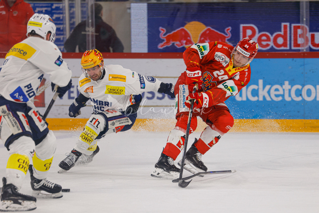 EHCB vs HCAP 20260115_wb-4415 | Sportbilder, Sportfotograf, Hochzeits- und Eventfotografin, Flugshows, Portraits und Tiershooting, Aviation, Downhill, Nationalleague, Swissleague, International