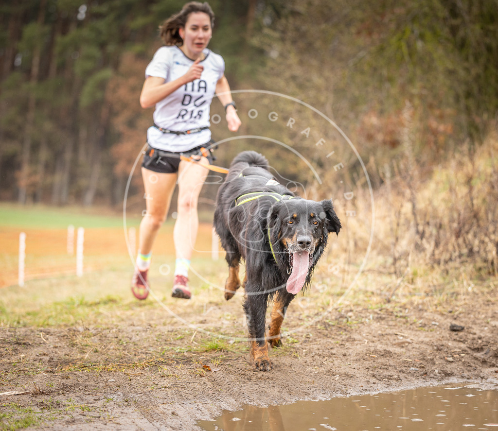 DV3A0161 | Hundefotografie, Tierfotograf, Pfotenfotografie, Fotoshooting Hund, Hunde Portrait, Hundesport, Hundeportraits, Heideshooting, Hunde, Sportfotograf, Hundefotograf, Turnierhundsport, THS,  - Realisiert mit Pictrs.com
