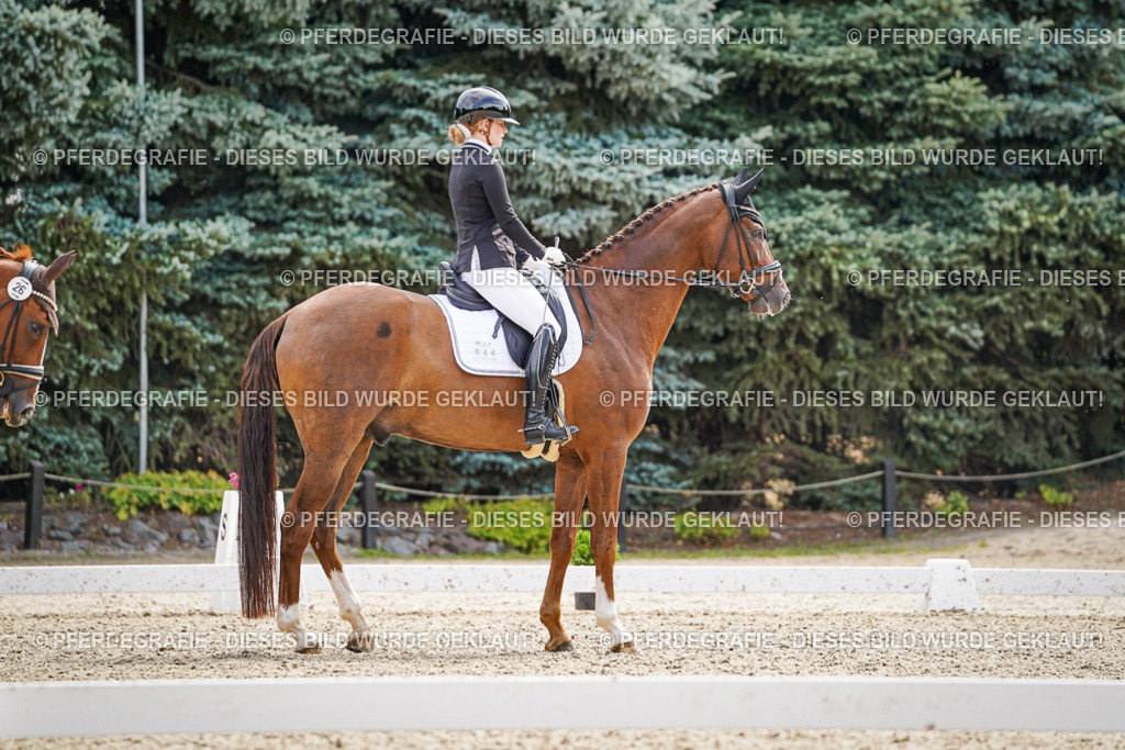 DSC08318 | Pferdegrafie