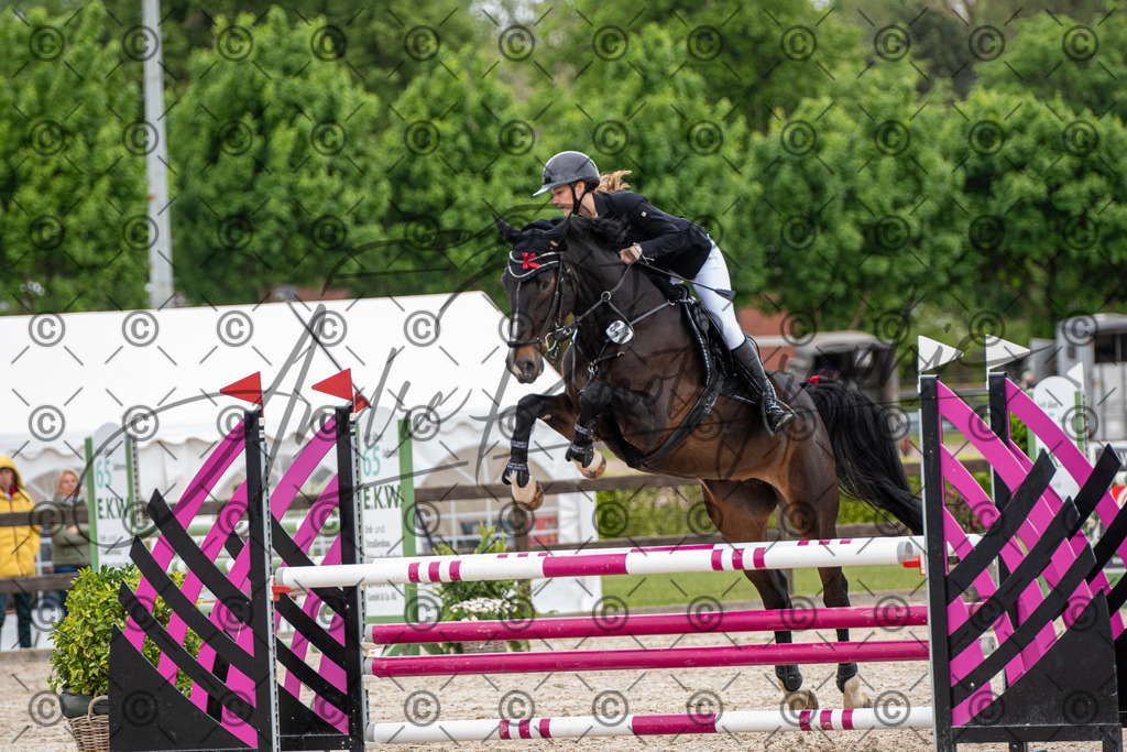 KPT_8712 | andre_photographic