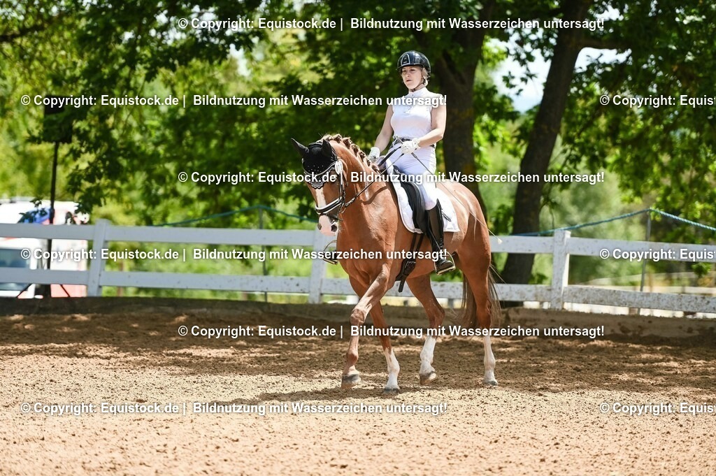20230716_03_Dressurprfg. Kl.L - Tr._0482 | equistock
