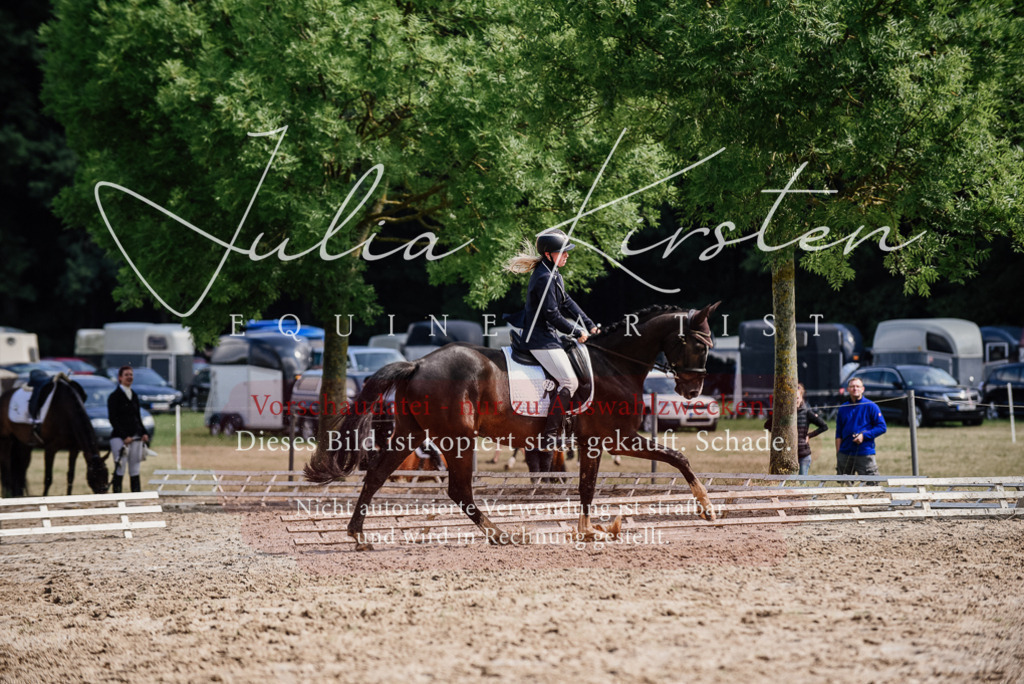 DSC_0115 | Pferde- und Turnierfotografie in Westsachsen. Pferdeportraits, Auftragszeichnungen und intuitive Kunst.