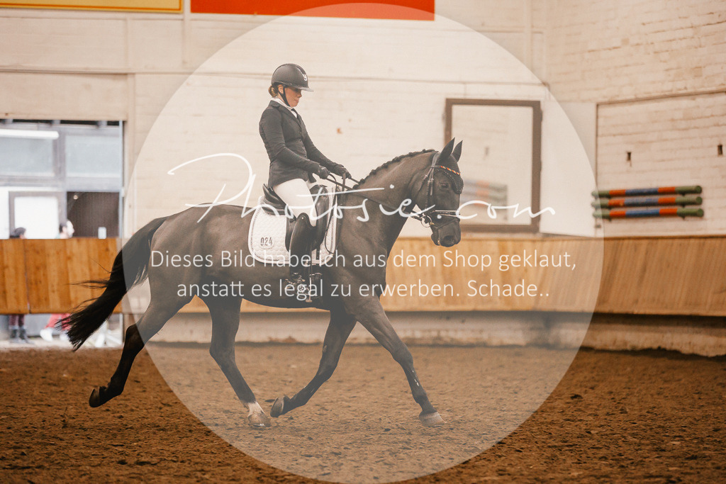 3I6A5458 | Stimmungsvolle Portraits und Reitsportfotografie im Ruhrgebiet und im Münsterland.

Pferdefotografie, Hundefotografie, Tierfotografie, Reportagen, Portraits von Tier und Mensch, Turnierfotografie in Bochum, Recklinghausen, Marl, Haltern am See, Dülmen.. - Realisiert mit Pictrs.com