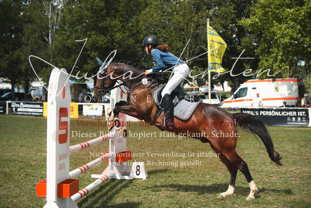 DSC_6774 | Pferde- und Turnierfotografie in Westsachsen. Pferdeportraits, Auftragszeichnungen und intuitive Kunst.