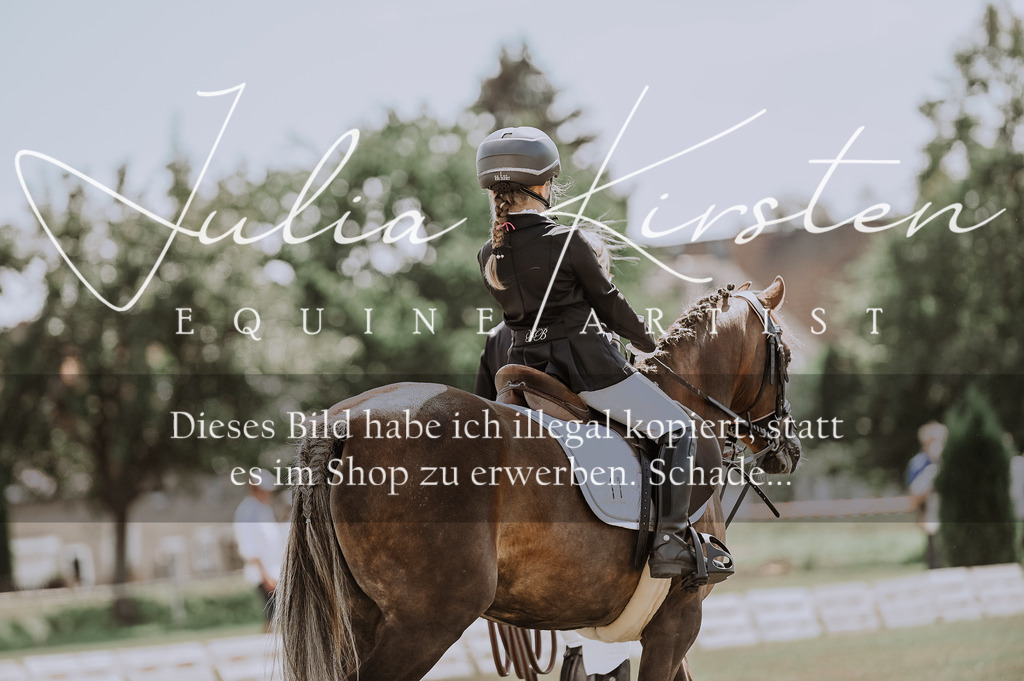 DSC_7651 | Pferde- und Turnierfotografie in Westsachsen. Pferdeportraits, Auftragszeichnungen und intuitive Kunst.