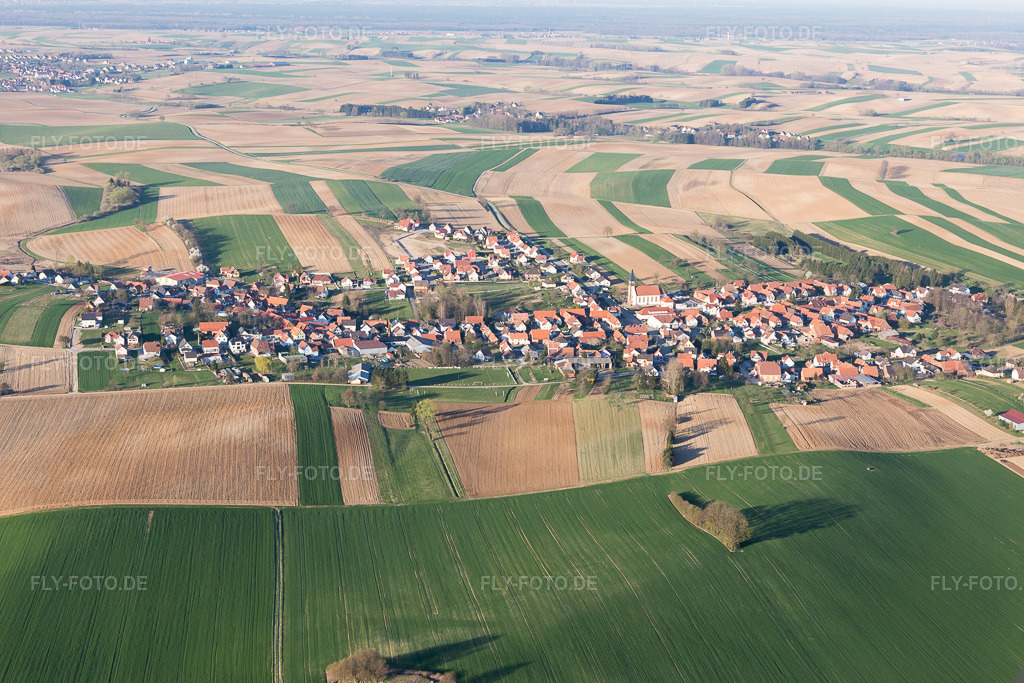 Luftbild: Ortsansicht in Oberrœdern im Bundesland Bas-Rhin in Frankreich. Foto: IMG_097810.jpg vom 27.03.2017 durch Werner Riehm/FLY-FOTO.de