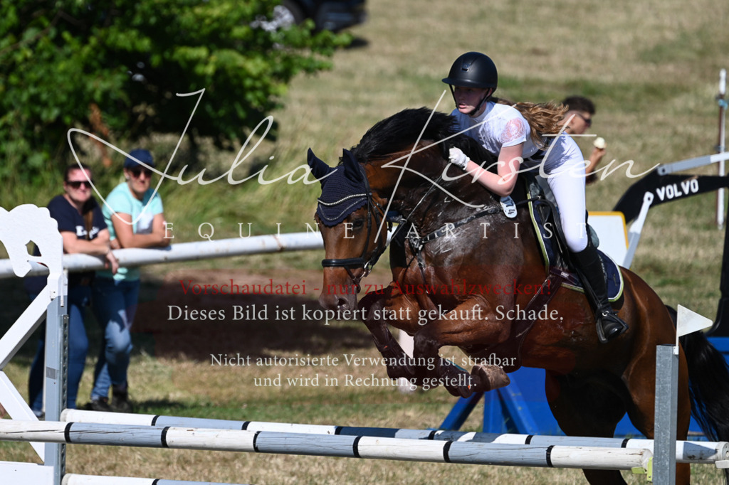 DSC_1905 | Pferde- und Turnierfotografie in Westsachsen. Pferdeportraits, Auftragszeichnungen und intuitive Kunst.
