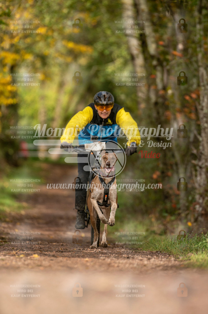 TSB_2023_E4_Bike-75 | PayLife