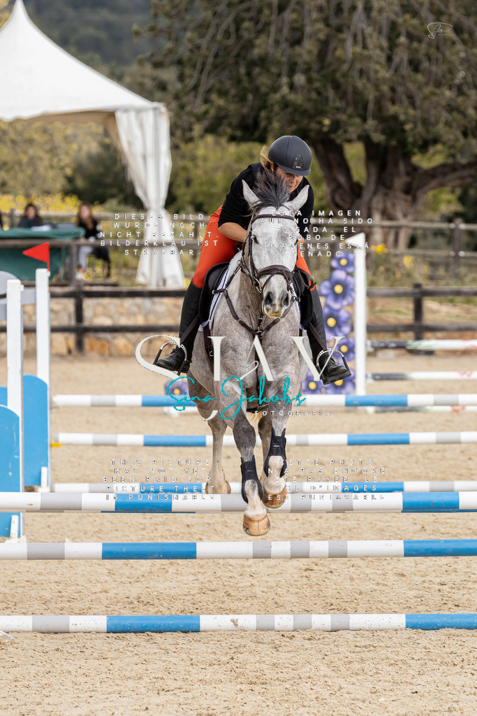 IMG_4571 | s-jay-photography - Realisiert mit Pictrs.com