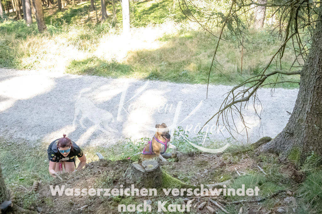 1217_ZZ93890 | kk-dogfotos