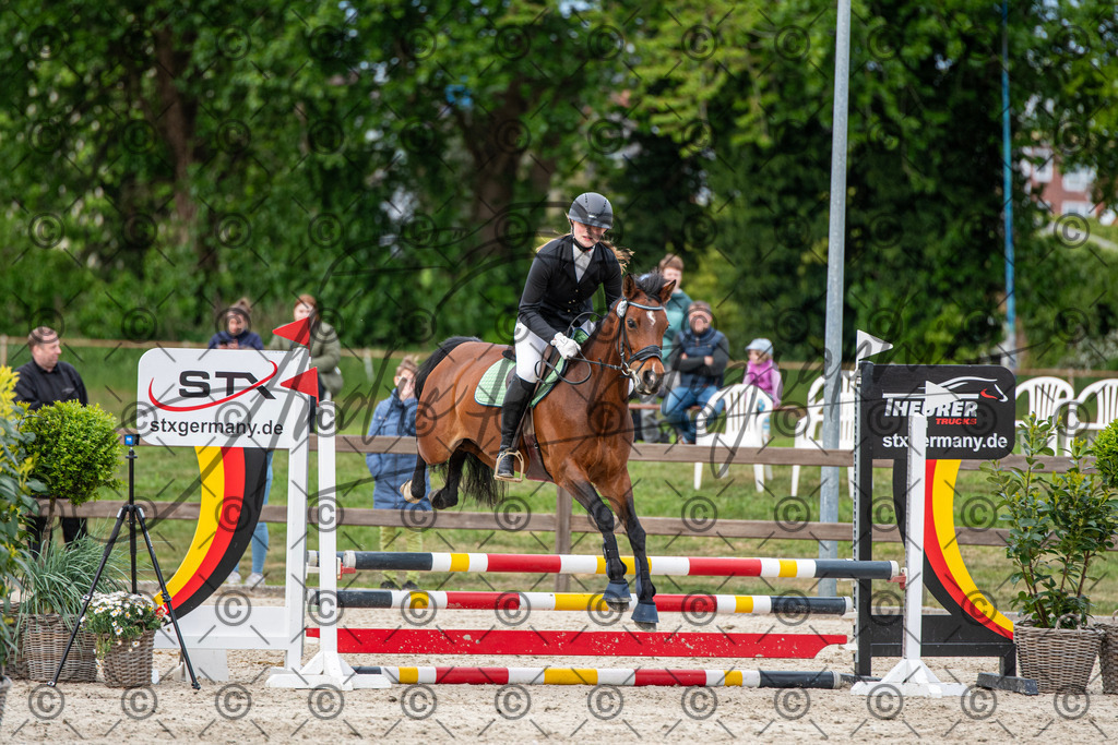 KPT_7246 | andre_photographic