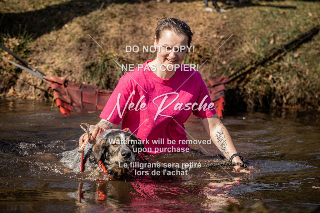 nelerasche_FS1300-1330_129 | nelerasche