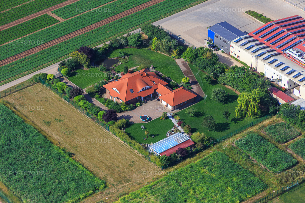 Luftbild: Gemüseanbau - Dieter Stubenbordt in Zeiskam im Bundesland Rheinland-Pfalz in Deutschland. Foto: IMG_080975.jpg vom 14.06.2015 durch Werner Riehm/FLY-FOTO.deStubenbordt - Gemüseanbaubetrieb in Zeiskam