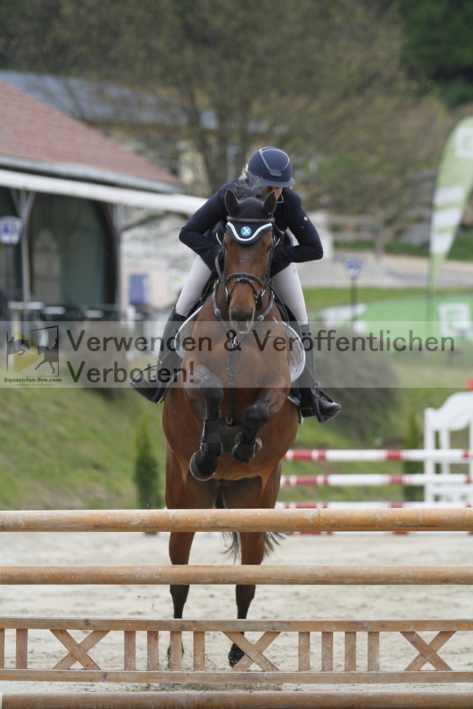 _MG_1456 | equestrian-live-com