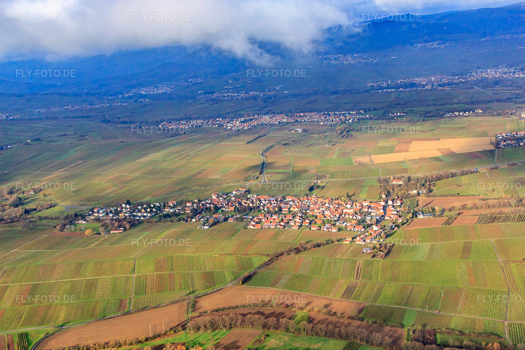 Luftbild: Winzerdorf zwischen kahlen Weinbergen aus Süden im Ortsteil Wollmesheim in Landau im Bundesland Rheinland-Pfalz in Deutschland. Foto: IMG_61315.jpg vom 30.11.2013 durch Werner Riehm/FLY-FOTO.de