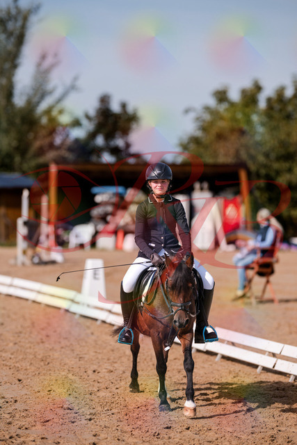 2026_10_03_Siefer-Hof_120516_Z81_06952836 | Professionelle Reitsport-, Turnier- und Eventfotografie von Robert Broda. Galerien mit ausgewählten und bearbeiteten Bildern direkt online ansehen und bestellen.