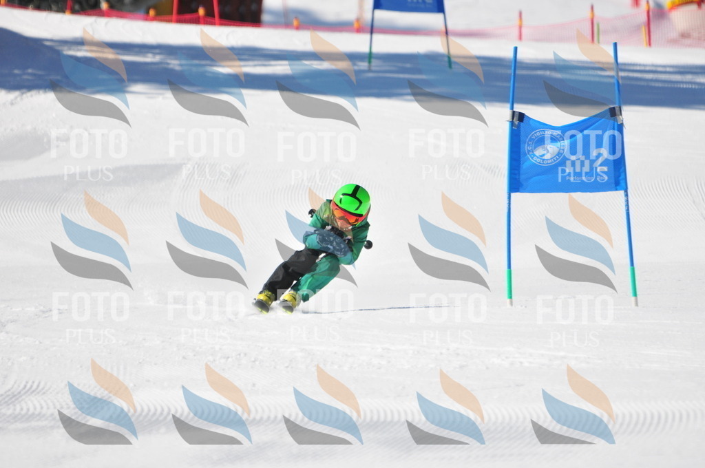 C2938 | holidayphoto