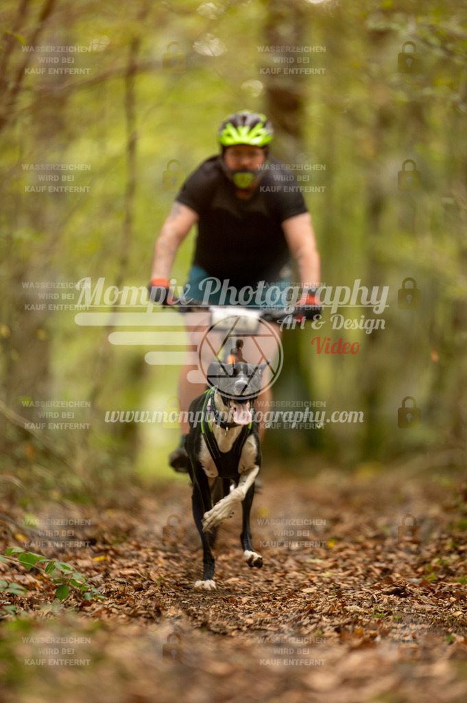 TSB_2023_E1_Bike-7 | PayLife