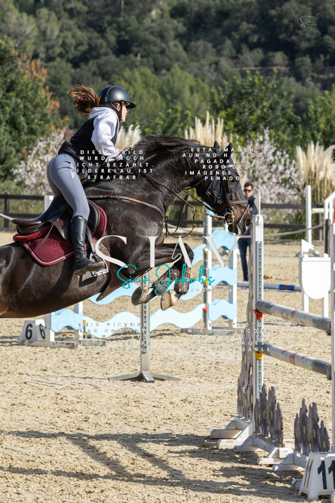 IMG_4425 | s-jay-photography - Realisiert mit Pictrs.com