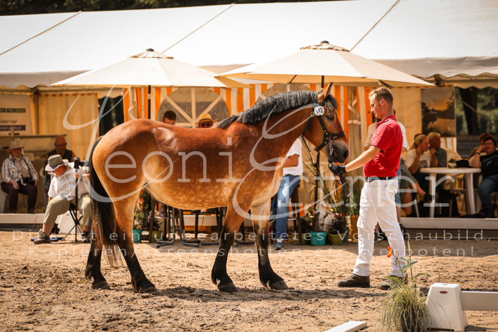 2.Sa00008 | Leoni Ertmer Photography - Realisiert mit Pictrs.com