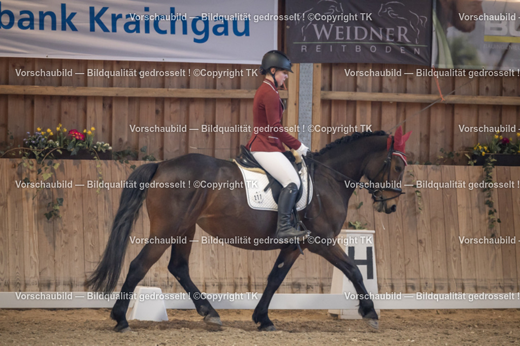 _D5A2135 | Emotionale Pferde- & People-Fotografie rund um Heidelberg, Leimen & Umgebung. Natürliche Fotos von Pferd, Mensch & Familie. Jetzt Termin sichern!