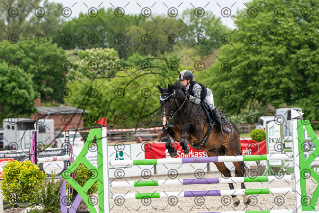 KPT_9931 | andre_photographic