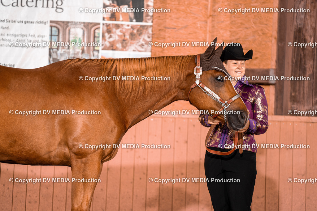 NE100101 | dv-media-shop - Realisiert mit Pictrs.com