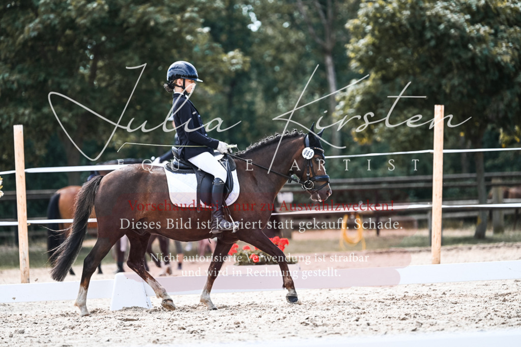DSC_5691 | Pferde- und Turnierfotografie in Westsachsen. Pferdeportraits, Auftragszeichnungen und intuitive Kunst.