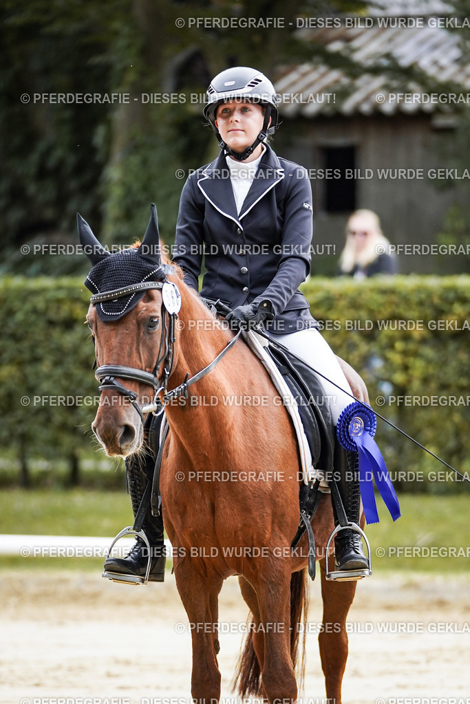 DSC04997 | Pferdegrafie