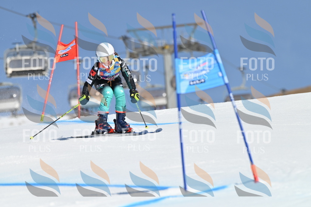 BGV_8131 | holidayphoto