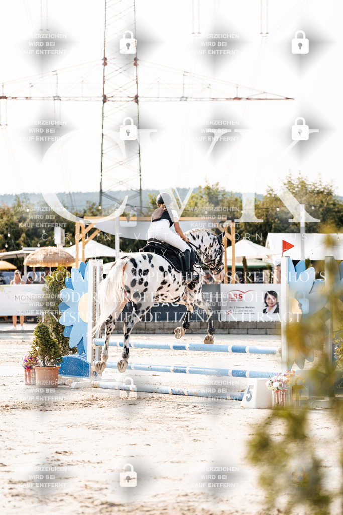 CK902811 | Turnierfotografie Pferdefotografie Trier Rheinland-Pfalz Pferdesport Reitsport Tierfotografie Sportfotografie Pferdevideo Pferdevideografie Equestrianvideography equestrianphotography  - Realisiert mit Pictrs.com