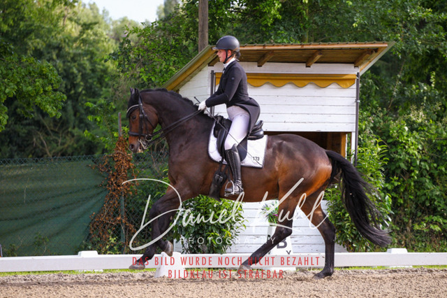 DKP41656 | Turnierfotos kaufen im Webshop von Daniel Kuhl Photography – entdecke professionelle Reitsportfotos aus Turnieren & Events. Hochwertige Turnierbilder online bestellen & sichern. Jetzt Fotos von Reitsportturnieren kaufen!