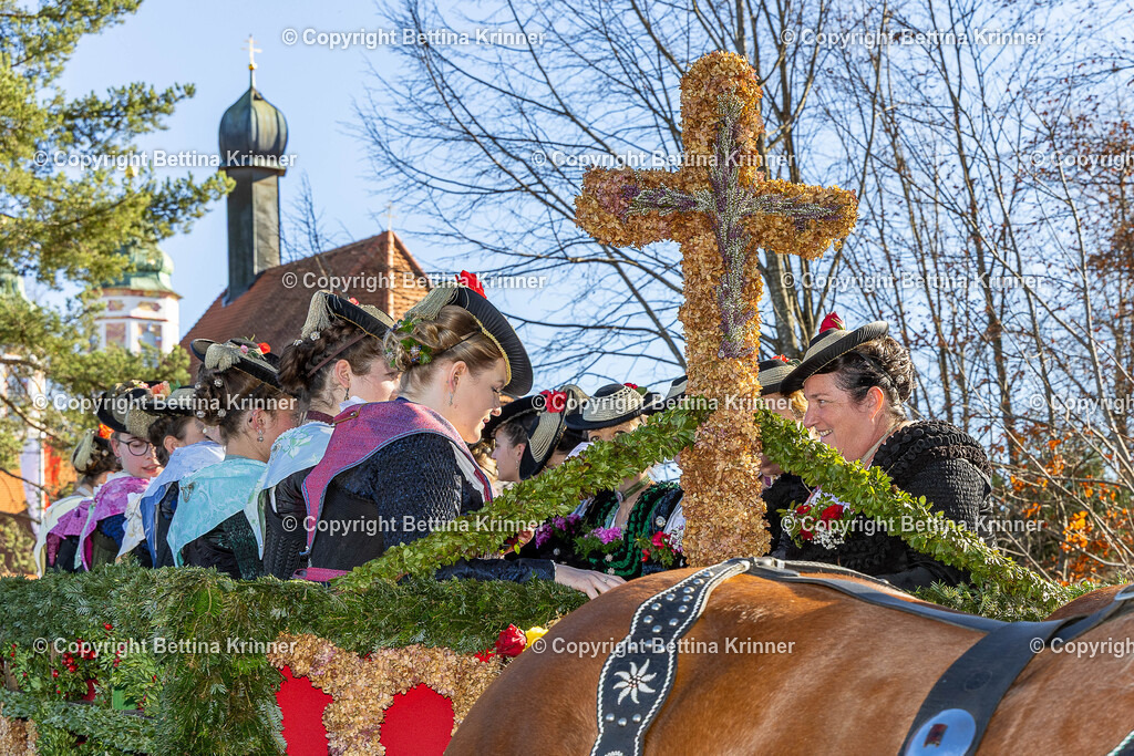 LBT25-1308 | foto-bettina-krinner - Realisiert mit Pictrs.com