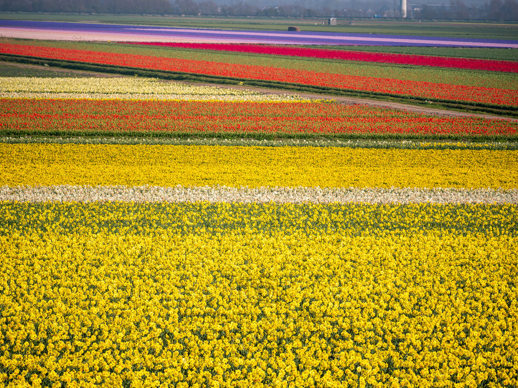 P1011361-LR | Natur im Moment - Realisiert mit Pictrs.com