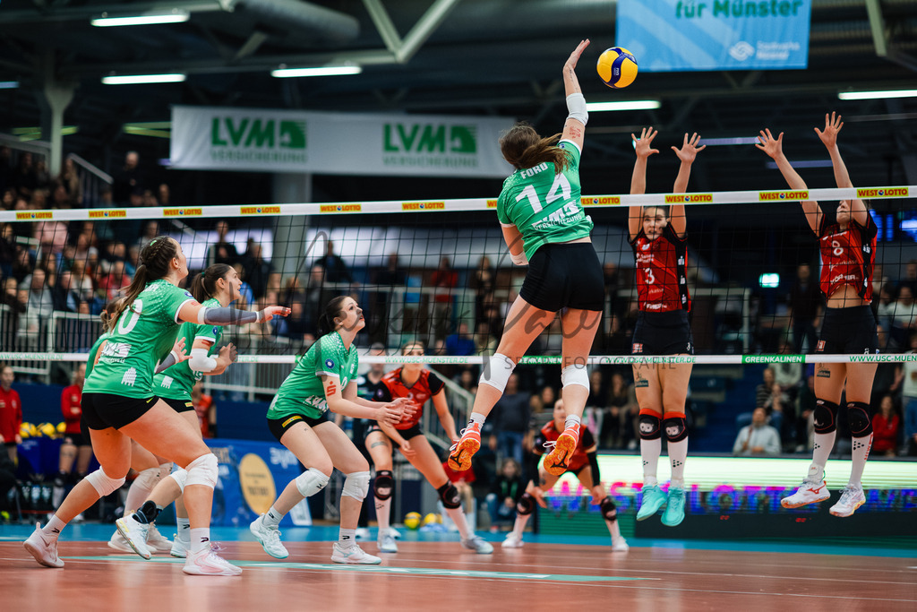 Volleyball, 1. Bundesliga Frauen, Hauptrunde, 8. Spieltag, Saison 2025/2026: USC Münster - Dresdner SC | 1. Bundesliga Frauen, Hauptrunde, 8. Spieltag, Saison 2025/2026, USC Münster empfängt Dresdner SC in der Sporthalle Berg Fidel in Münster. Foto: sportfotografie.ms | Markus Paletta - Realisiert mit Pictrs.com