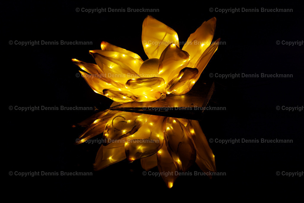 Winterlichter 2023/24 | Dennis-Brueckmann-Fotografie - Realisiert mit Pictrs.com