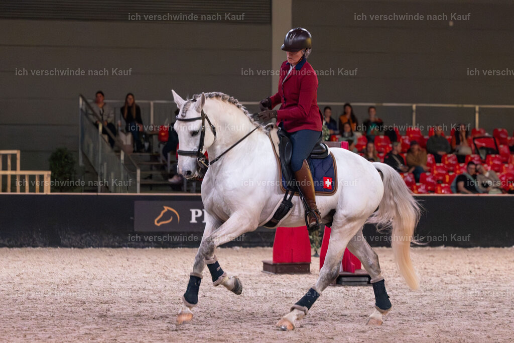 JoseraCup-112 | working equitationturnier fotograf videograf stoibphotography marixx film working equitation deutschland reitsport turnierfotografie eventfotografie equestrian events