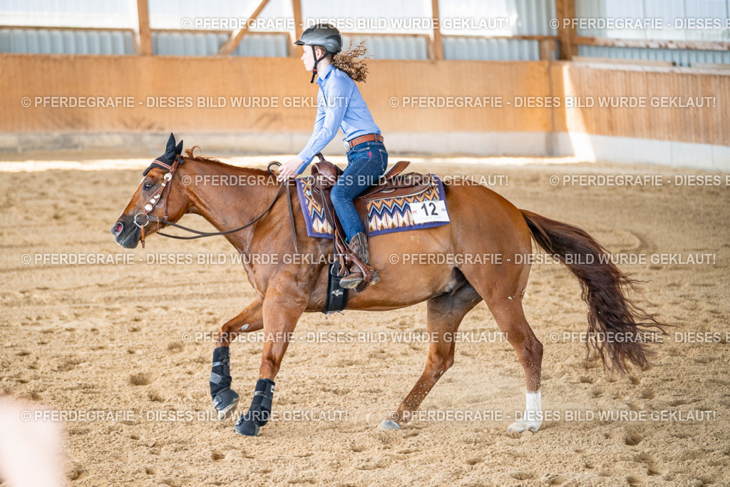 DSC03079 | Pferdegrafie