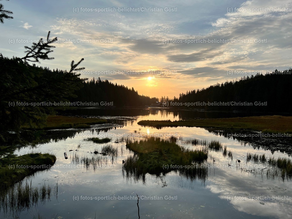 IMG_6636 2 | fotos-sportlich-belichtet - Realisiert mit Pictrs.com