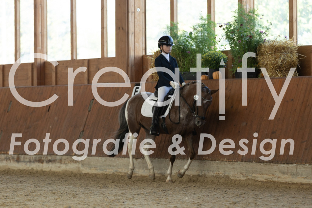 IMG_8481 | Creatify Fotografie