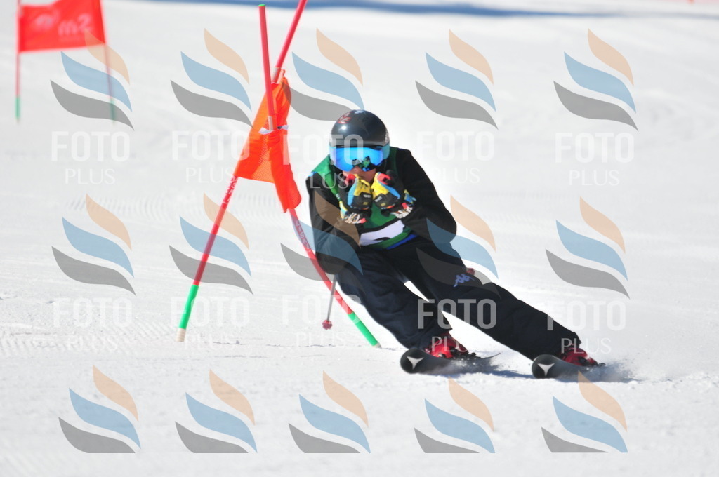 C3880 | holidayphoto