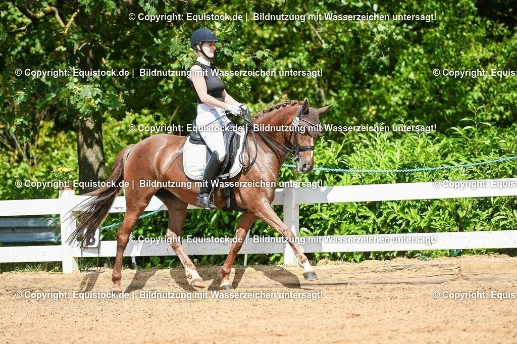 20230716_01_Dressurprüfung Kl.M_0323 | equistock