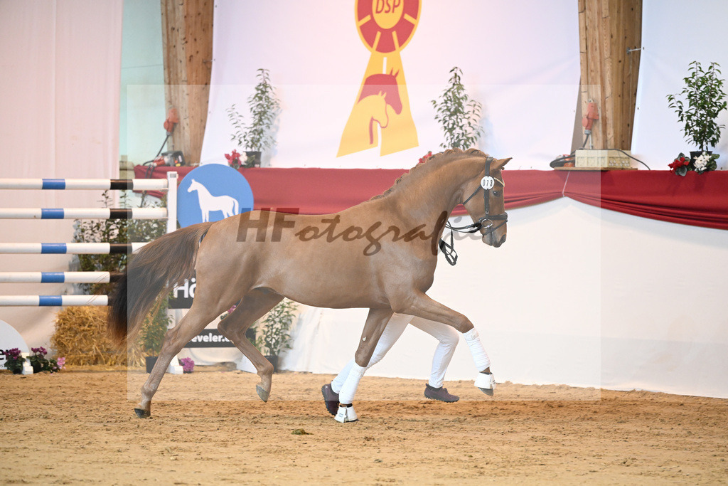 Kat-Nr. 73 Vaderland_Galneder_1231502 | hf-fotografie - Realisiert mit Pictrs.com