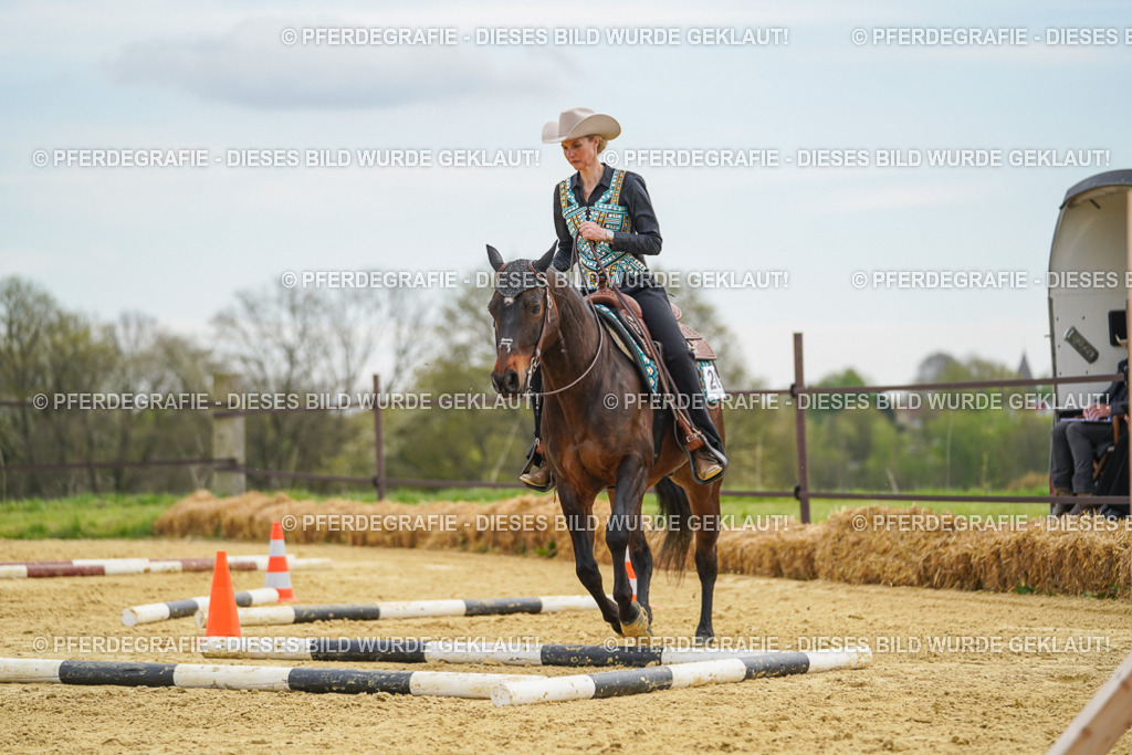 DSC03189 | Pferdegrafie