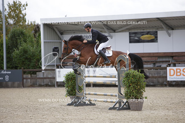 1J2A0234Alexander Liebe_ Nordic Dream HS_ Kn798_ Havekost | Foto- und Videografie für alles rund ums Pferd. Hochwertige Bilder und Videos vom Spring- und Dressurreiten, Voltigieren & mehr. Jetzt aktuelle Veranstaltungen und Preise im Shop ansehen. - Realisiert mit Pictrs.com