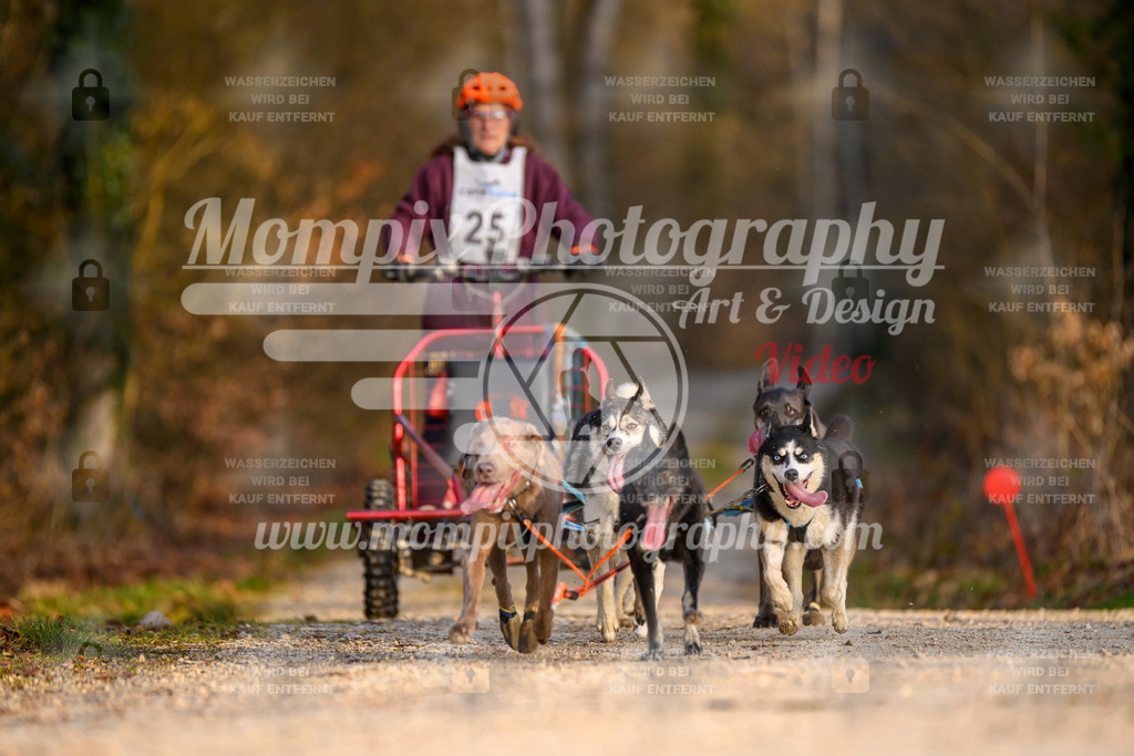 MompixPhotography_6ReiatRennen2026_SO_Kart-17 | PayLife